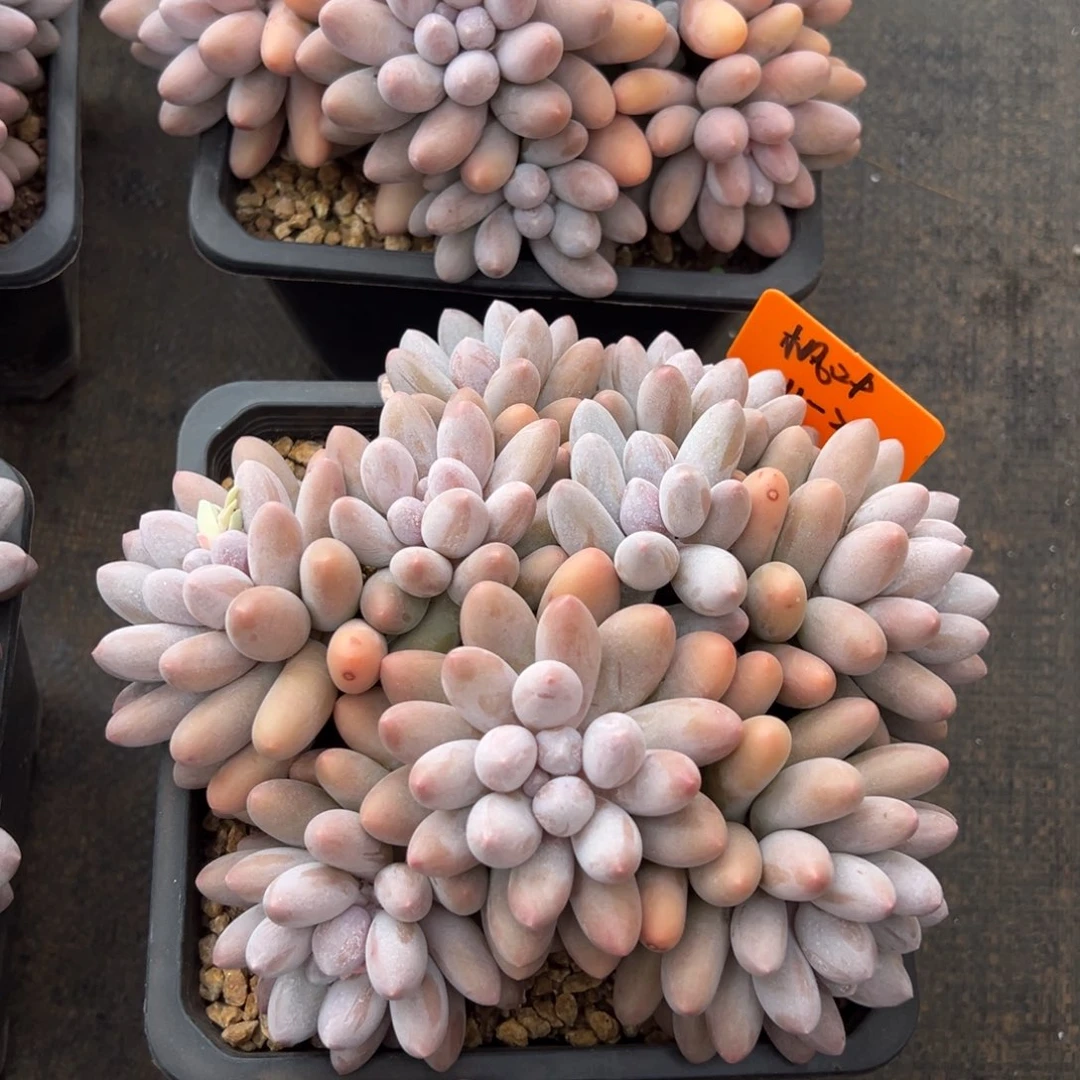 11221111111111111111111111