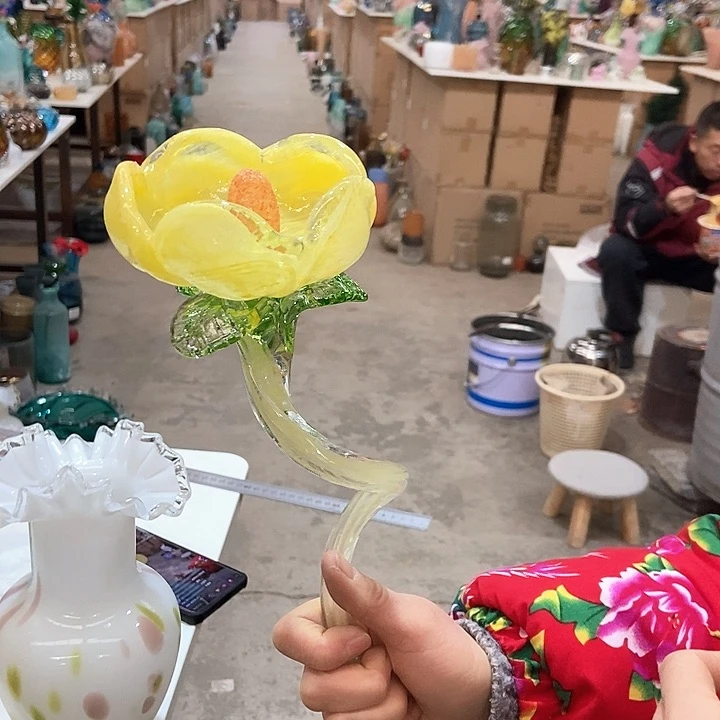 琉璃琉璃花高29口9