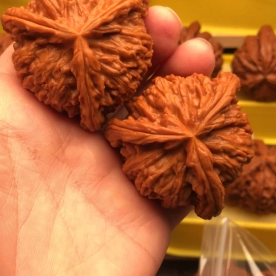 *****核桃核桃核桃和他的核桃