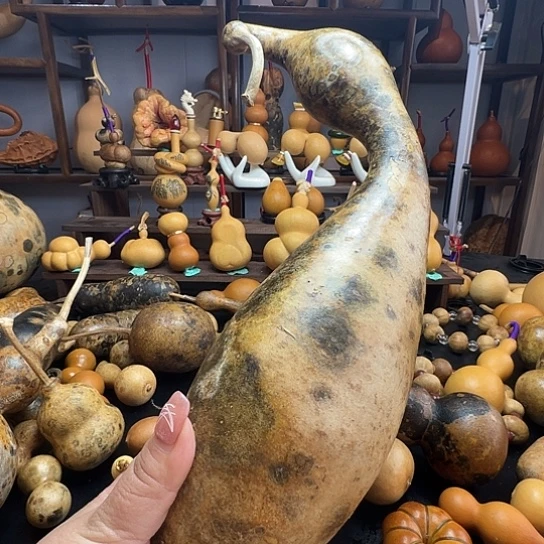 D****h葫芦葫芦葫芦葫芦