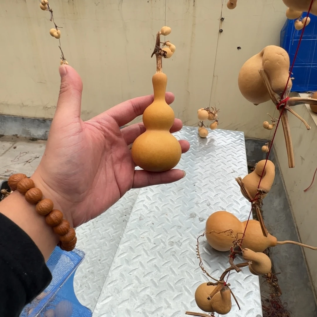 洋***.客户需要闪购链接