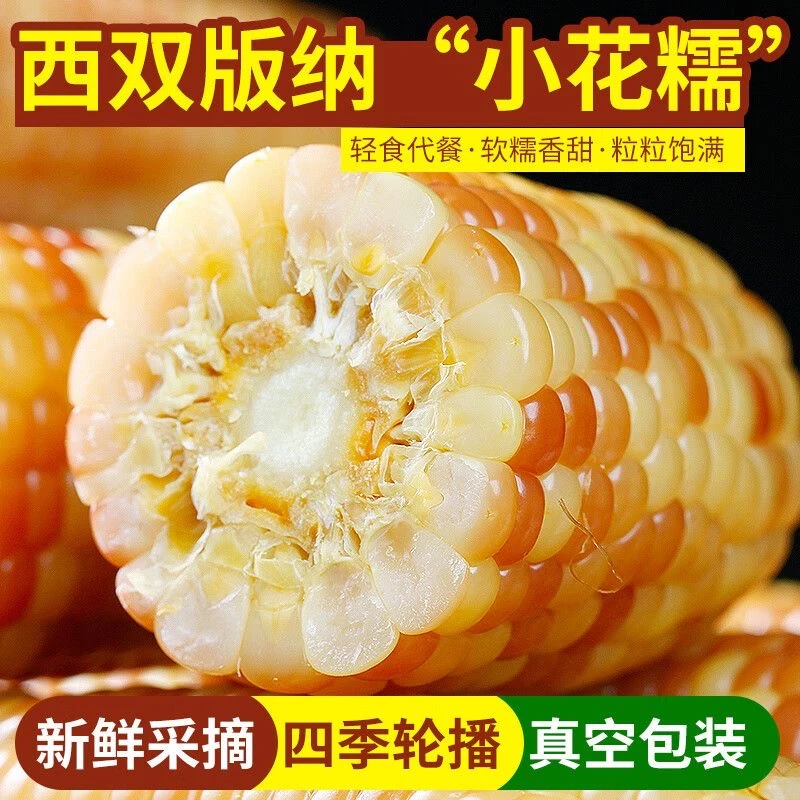 西双版纳香糯小玉米