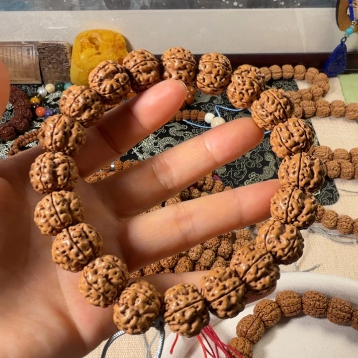 手串金刚菩提大王龙
