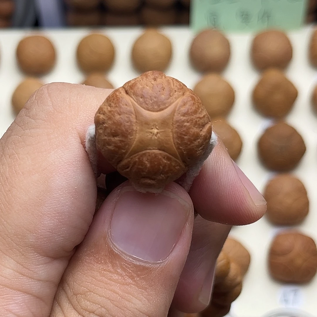 凤眼菩提吊坠4星己打孔