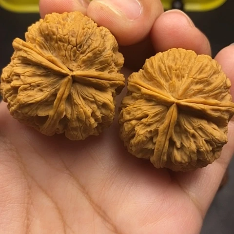 文玩核桃把件37尺云南核桃