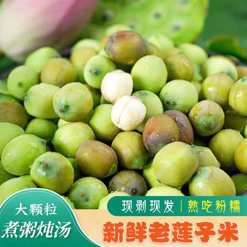 新鲜老莲子 现剥老莲子香甜粉糯煲汤煮粥优选【顺丰包邮】