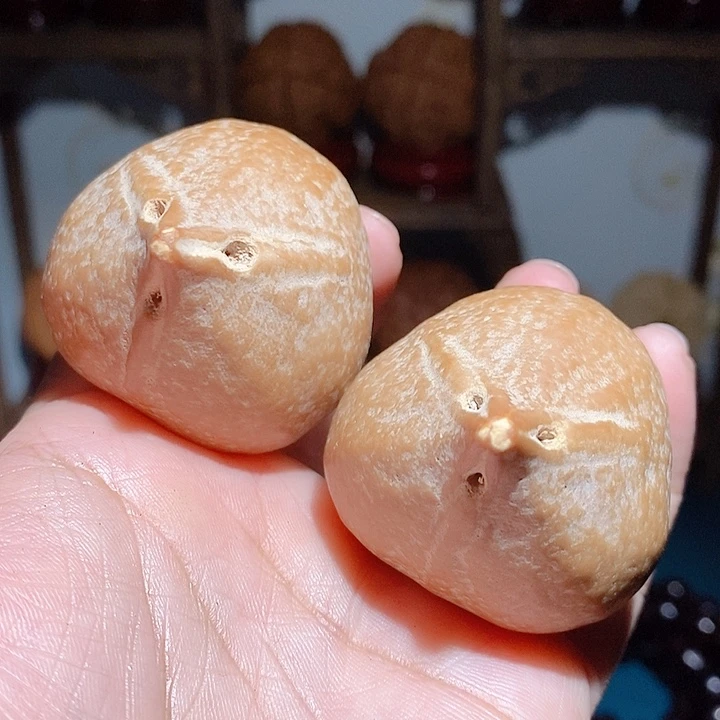 野生巴西大橄榄核手把件40