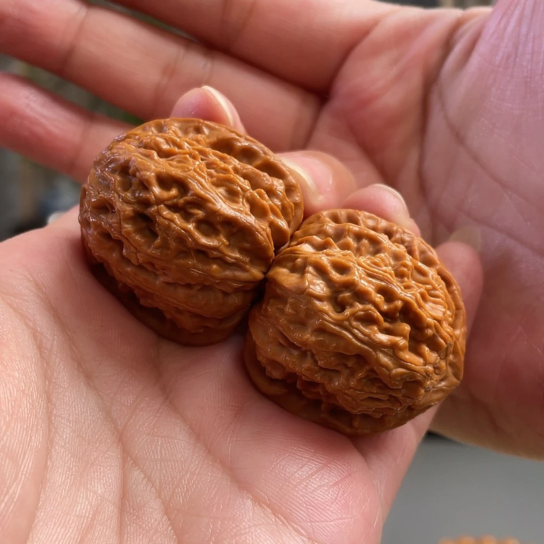 桃核把件36×37尺山地三角白狮子CN01445已打底