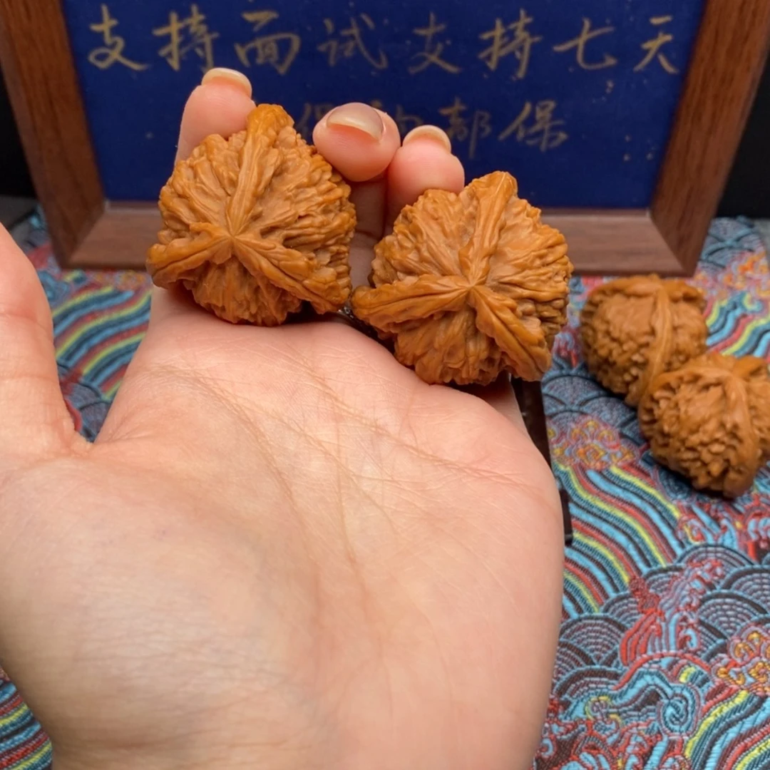 【闪购商品】龍白狮