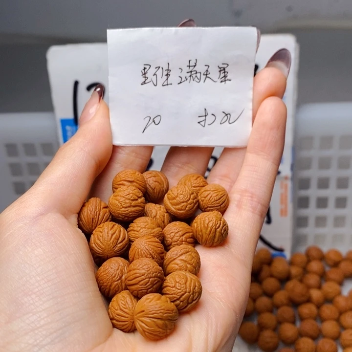 用***心手串桃核12mm左右野生满天星18+2颗（穿好）