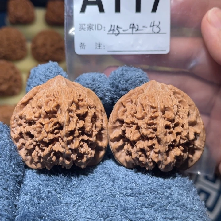 文玩核桃把件满天星狮子头45全品