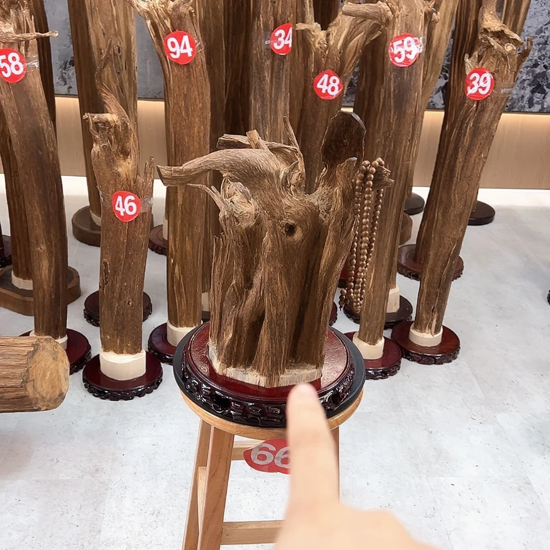 春***雨沉香沉香碎屑天然沉香原材料