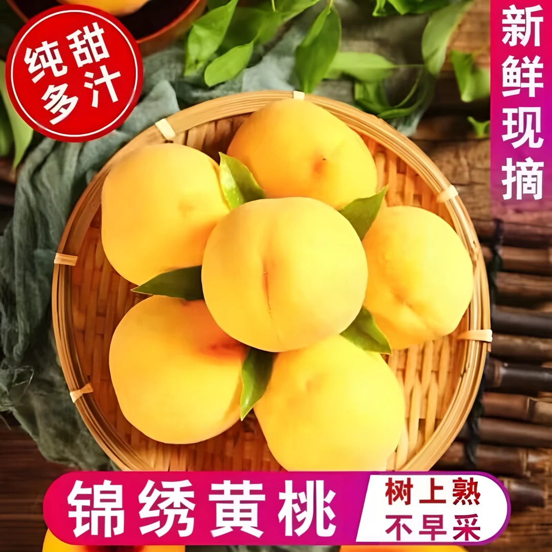 蒙阴蜜桃山东蒙阴蜜桃【锦绣黄桃】果园现摘现发脆甜多汁
