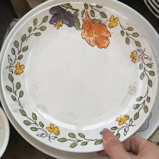 直径22厘米的月光盘