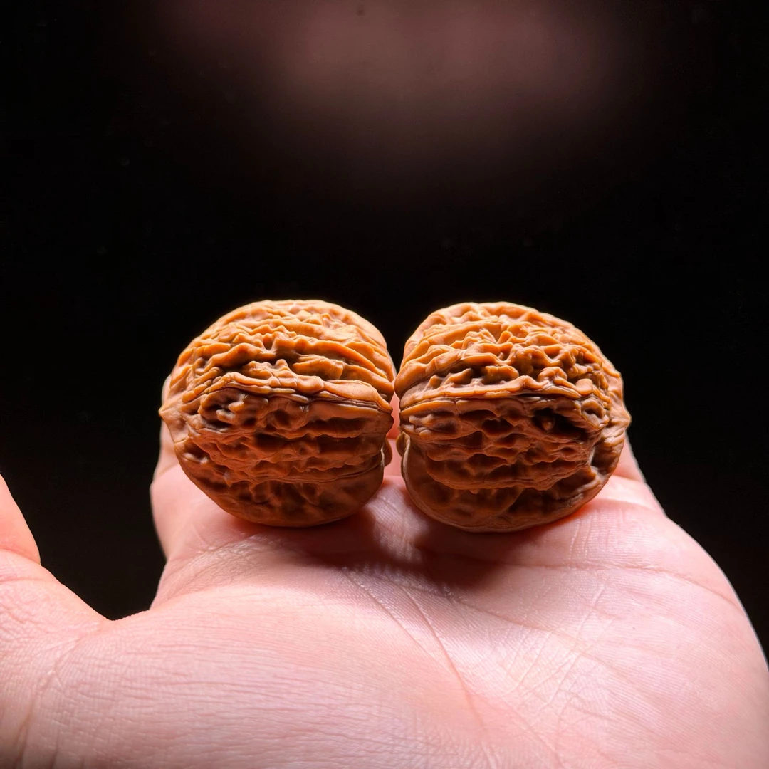 【渡鸦甄选级】平谷四座楼