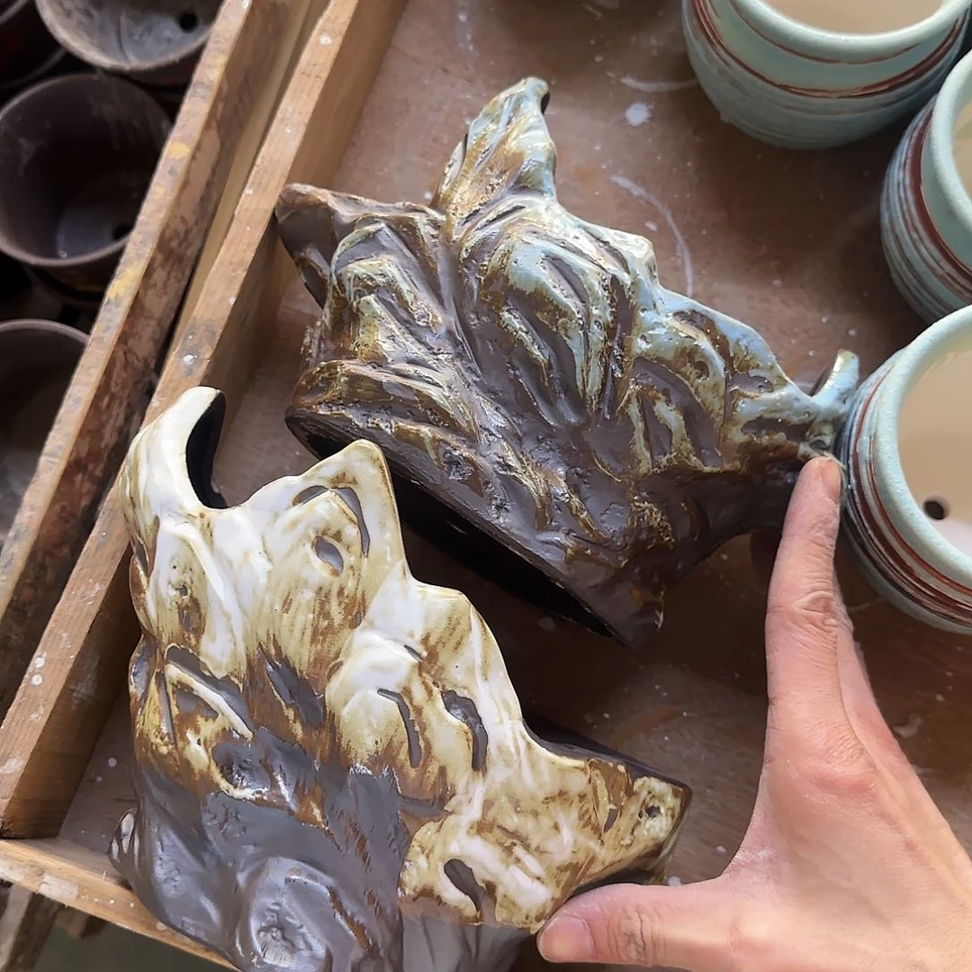 2个福利局［凑9元包邮24小时发］