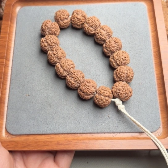 菩提15号尼泊尔大金刚21五瓣梅花