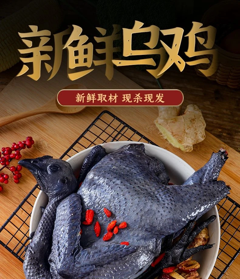 新疆包邮生态散养白凤乌鸡一年纯粮喂养 4只总重量4.9公斤