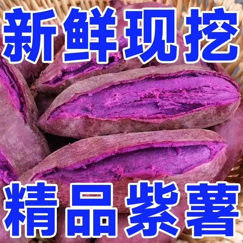 沙地种植新鲜现挖紫薯香甜粉糯健康粗粮代餐番薯