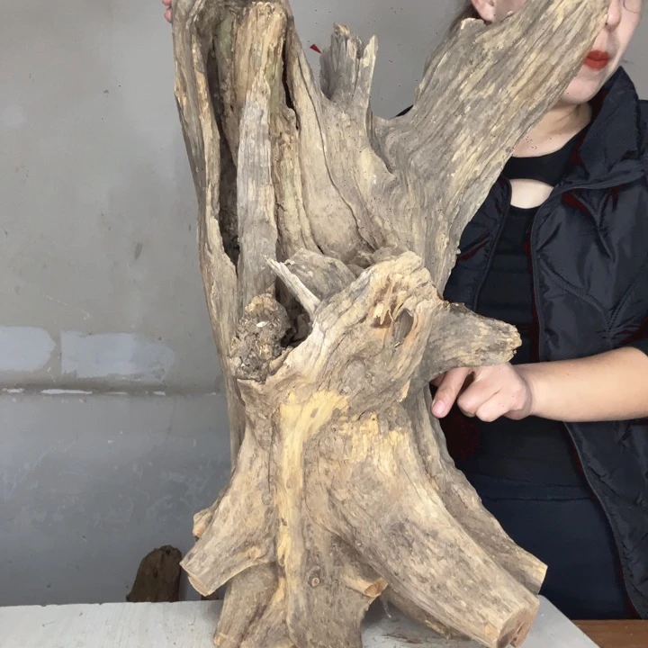 *****木太行崖柏摆件摆件