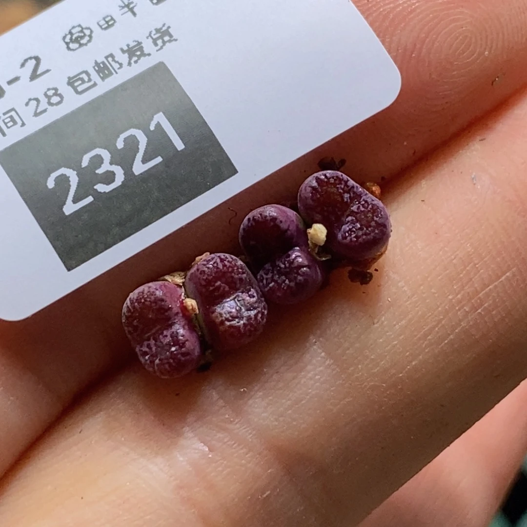 @***心2-2321好看好看好看好看好看