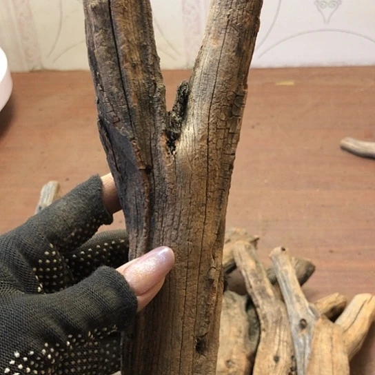 大果紫檀（缅甸花梨）看****丶