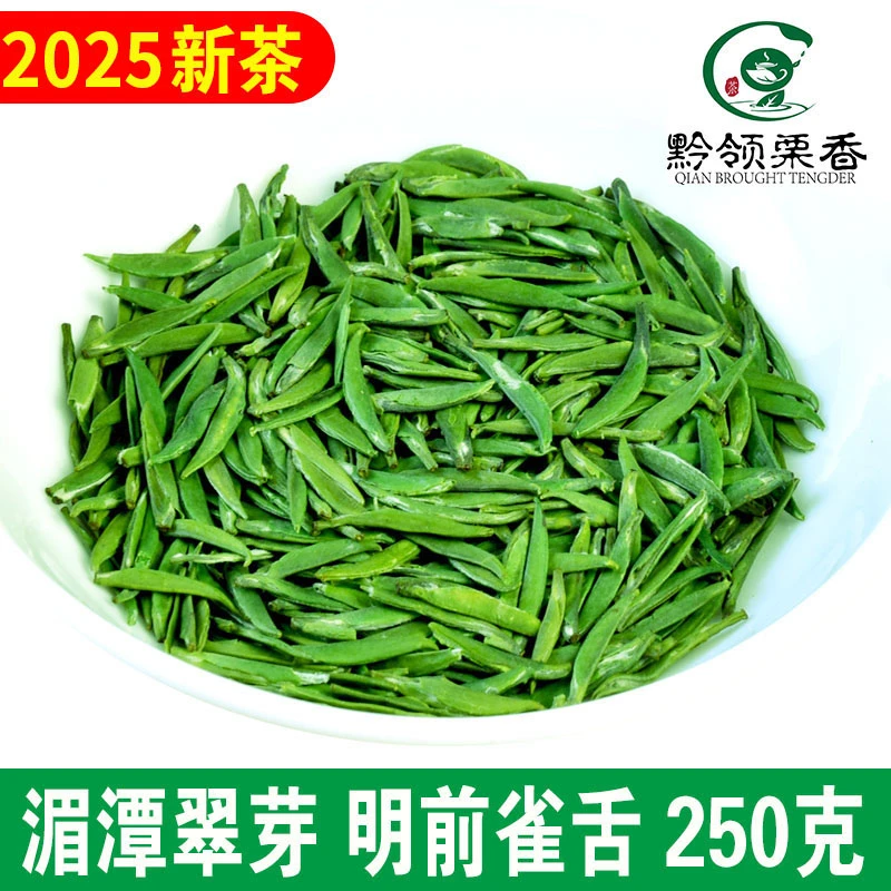 2025年新茶湄潭翠芽明前嫩芽贵州炒青绿茶毛尖茶叶散装雀舌礼盒装