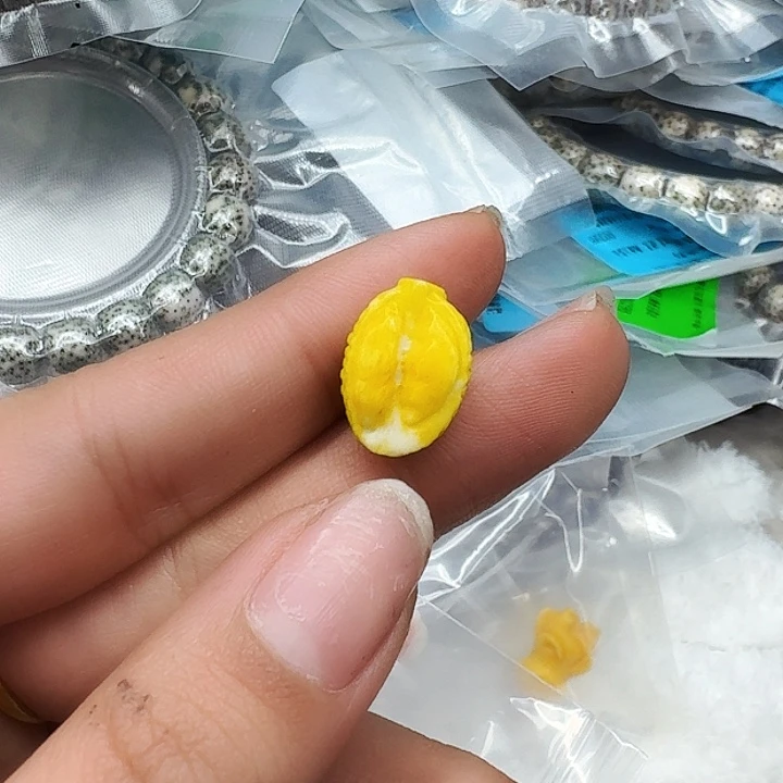 驼骨其他441配饰榴莲11左右尺寸