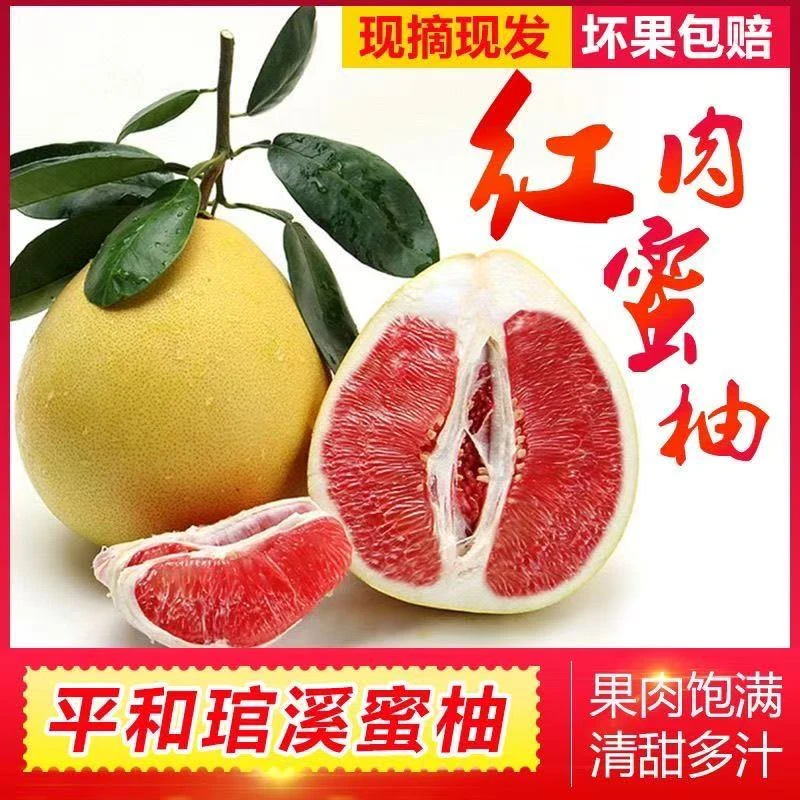 【贺姐专属】福建平和老树头茬三红蜜柚新鲜当季水果皮薄肉厚多汁