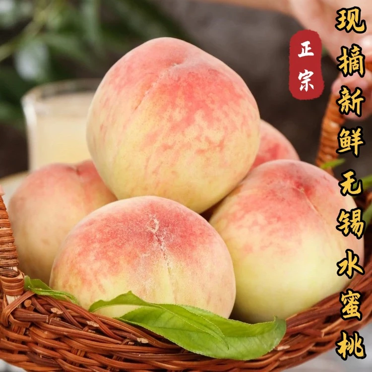 礼盒款【江苏无锡水蜜桃】到手6个装8-7两丨单果350-400g丨顺丰/京东包邮当季新鲜水果桃子桃子同城送江苏省
