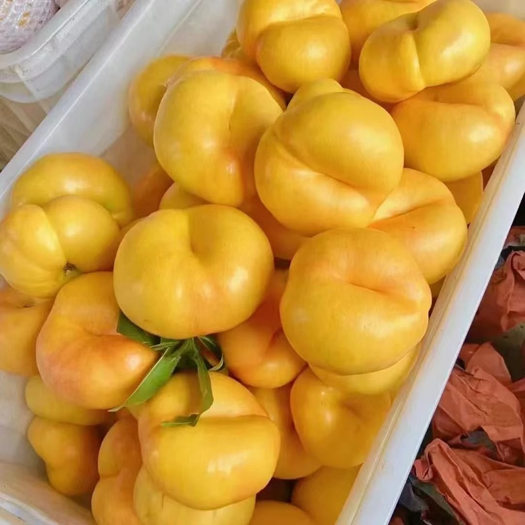 【顺丰包邮】大连黄金蟠桃新鲜应季水果黄金小油蟠桃皮薄甜嫩多汁
