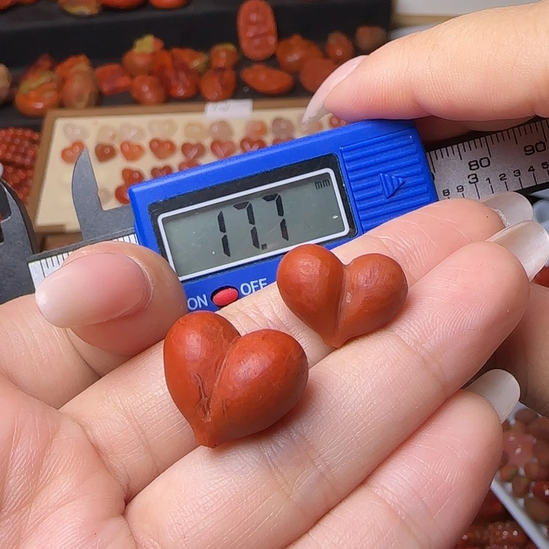 南红玛瑙未镶嵌颈饰