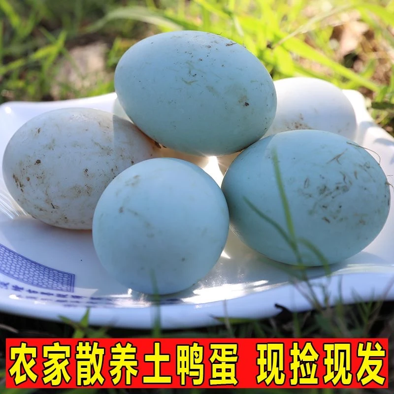 【放养土鸭蛋绿壳白壳】鄱阳湖正宗农家土鸭蛋20枚60-70g