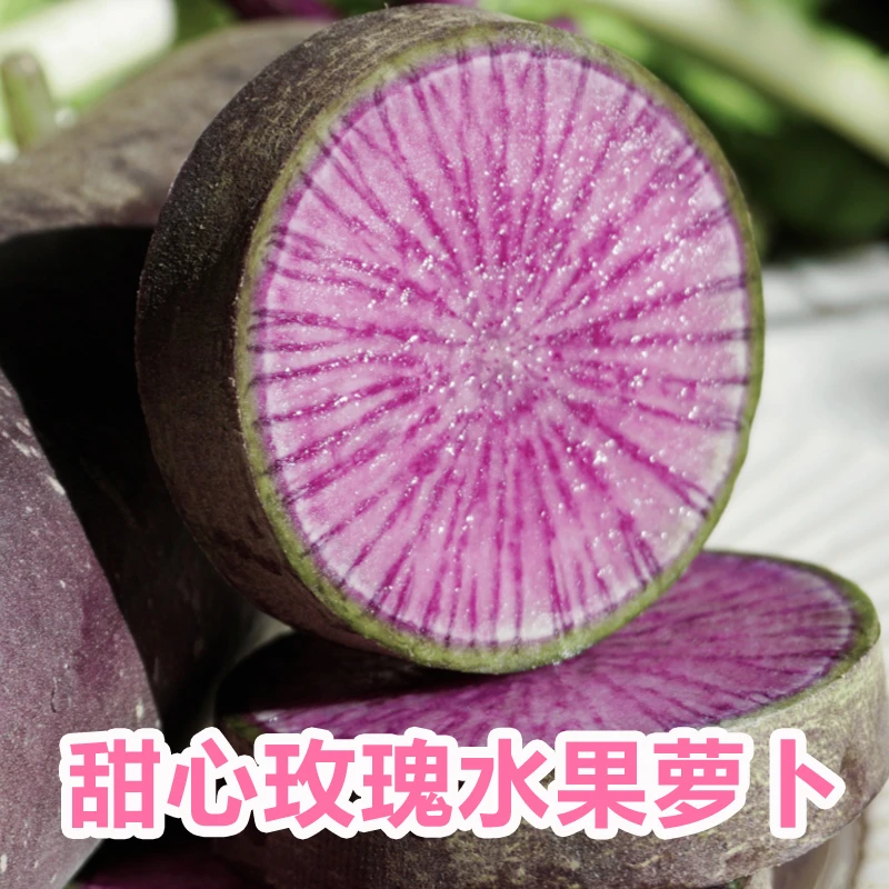 甜心玫瑰水果萝卜【2枚试吃装】脆甜多汁碱地水果萝卜