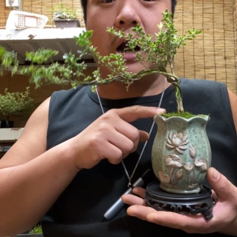 红陶芜*一物一拍所见即所得58