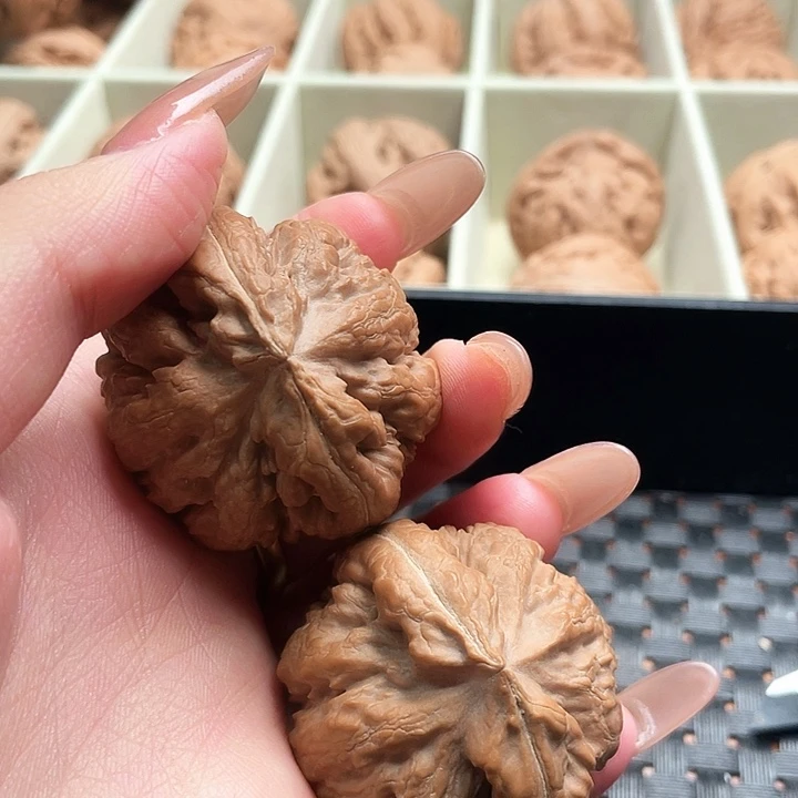 ****甲霸王龙核桃尺寸42