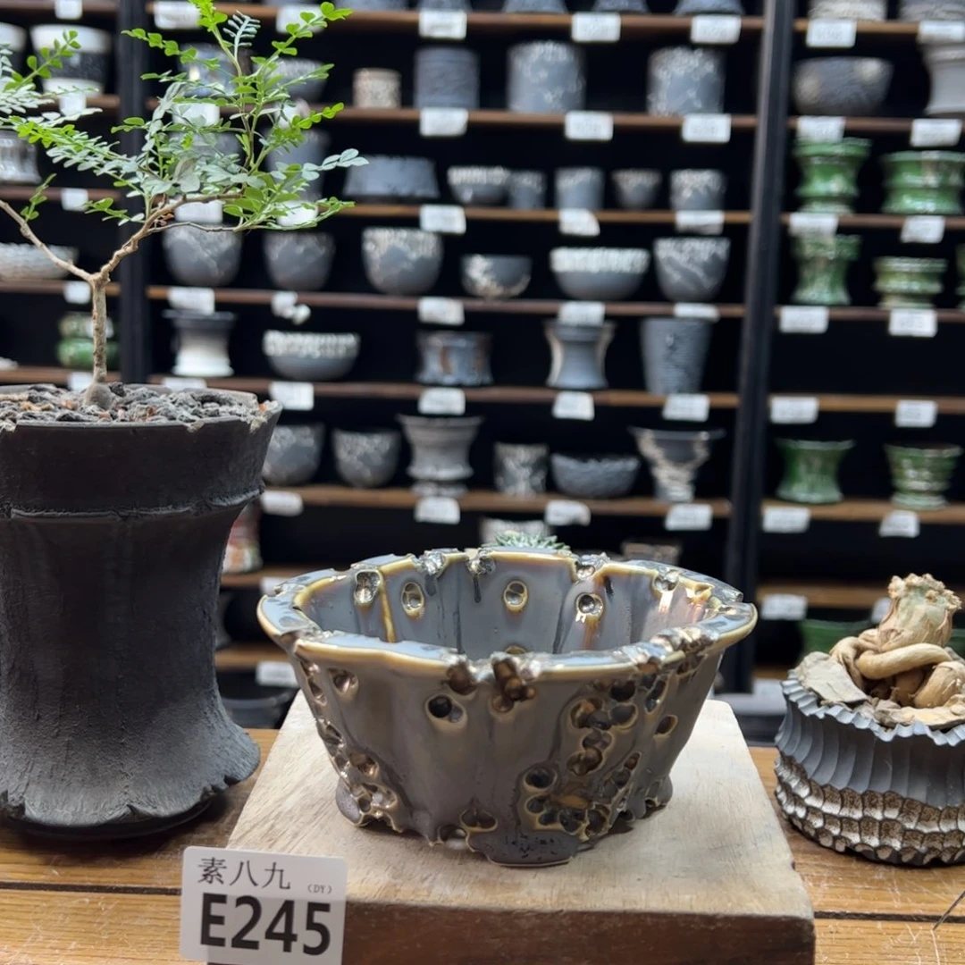 素八九陶瓷长12宽10高6