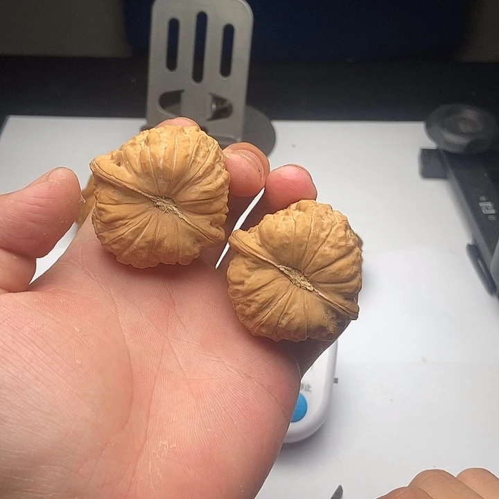 桃核吊坠志**年了哦哦哦哦哦哦