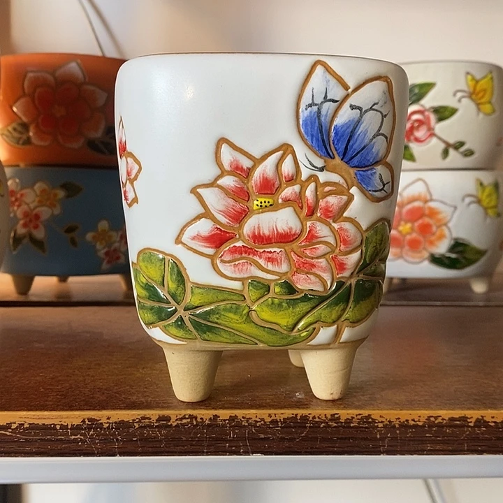 韩式多肉植物花盆