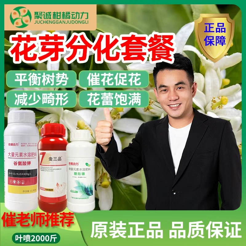 柑橘动力花芽分化套餐保花保果提高座果率喷施