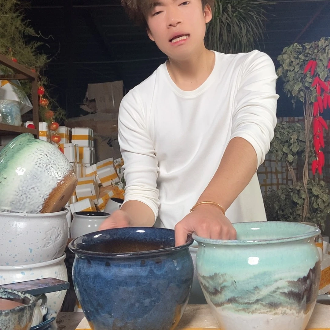 无铅玻璃花盆里的东西