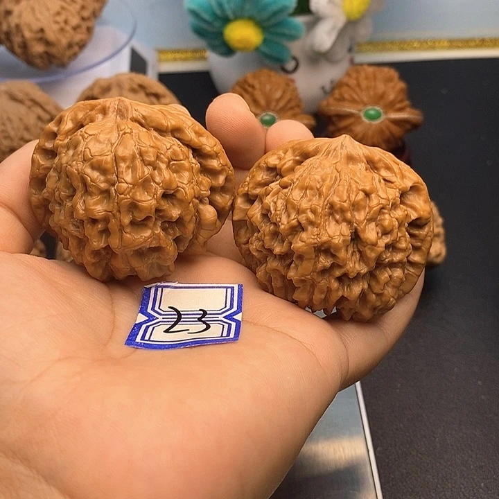 文玩核桃把件51龙鼎