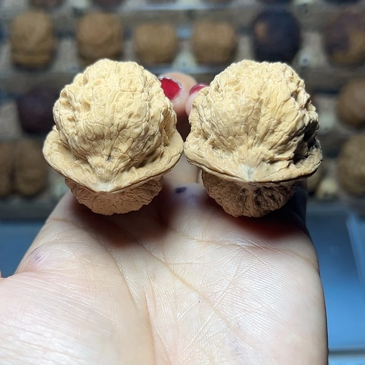 把件文玩核桃38号古陀蟾39尺