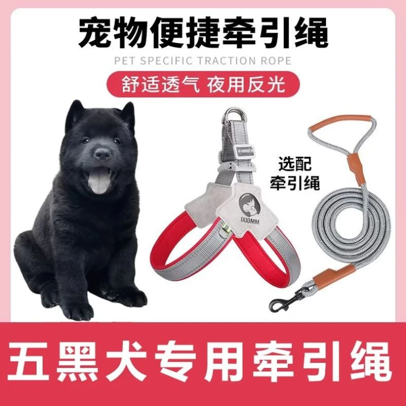 五黑犬专用狗狗胸背带牵引绳中小型犬脖圈背心式遛狗绳宠物项圈