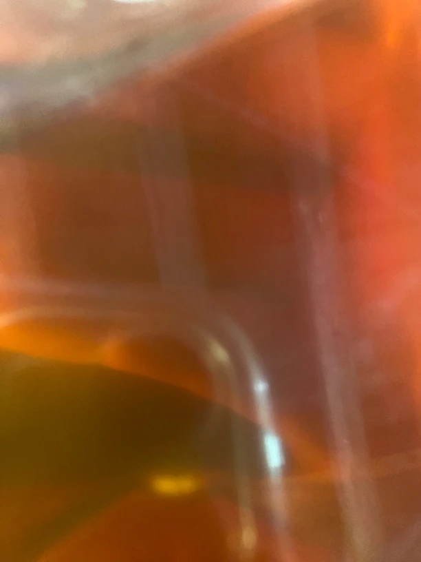 【土特产菇CXY】净含量3g起