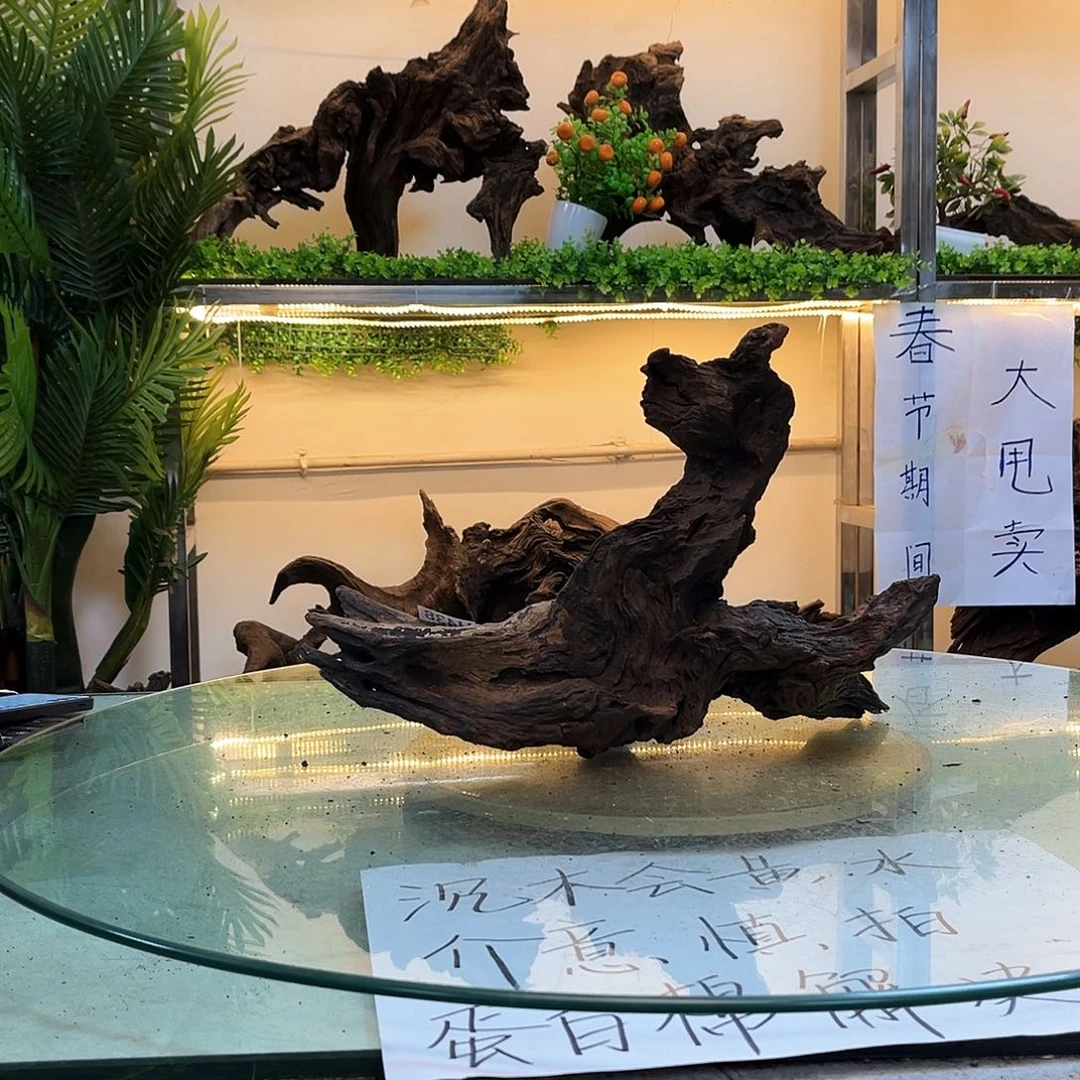 柚木人*沉木鱼缸造景