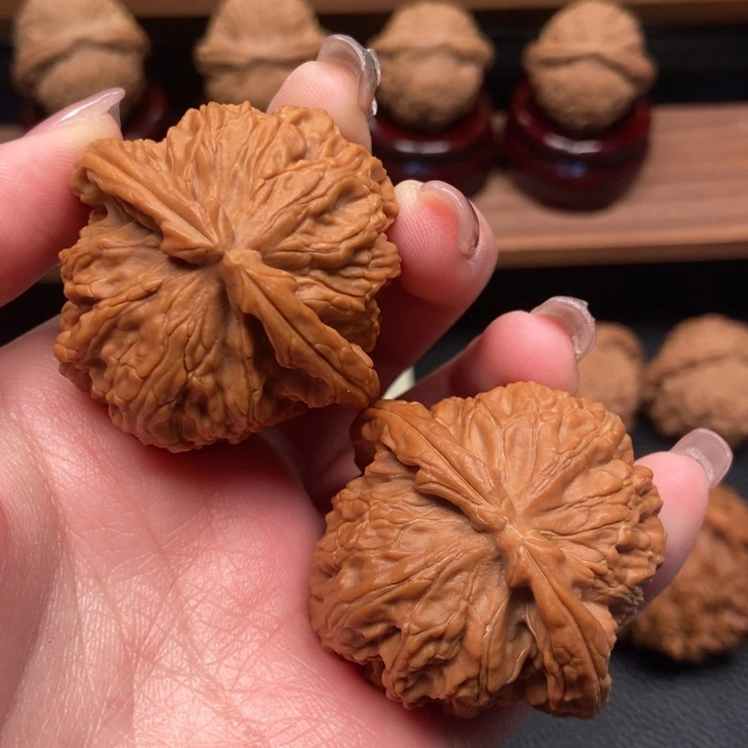 核桃手串/手链白狮子43尺