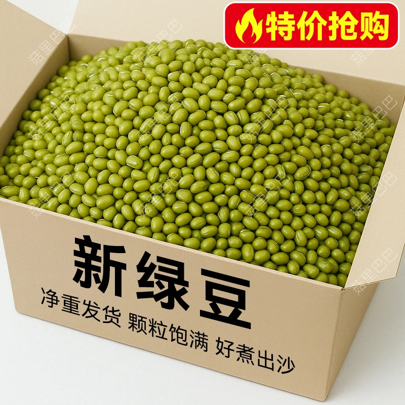 无干燥剂】东北新鲜绿豆农家新绿豆煮粥解暑绿豆汤发豆芽商品批发