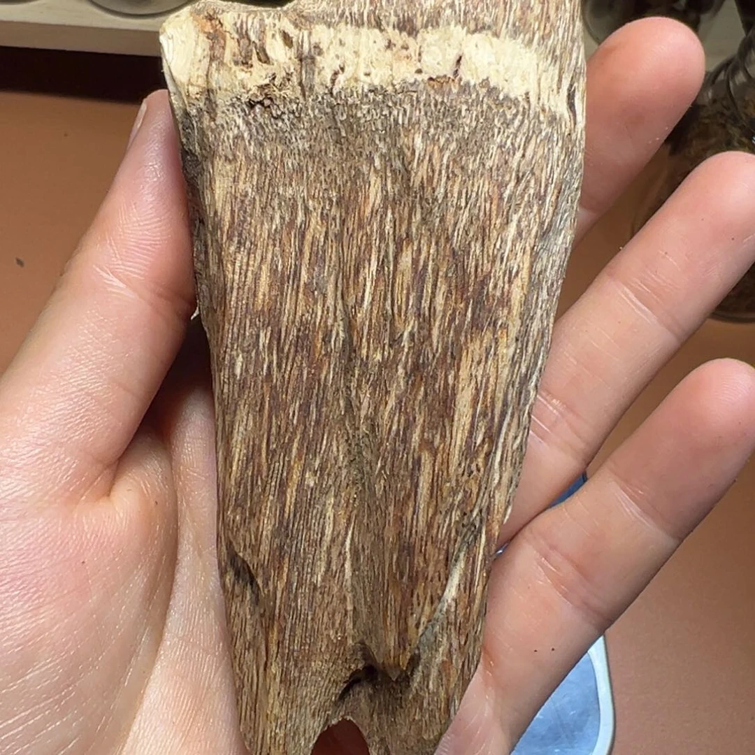 胡***）沉香碎屑沉香海南国香锯口料