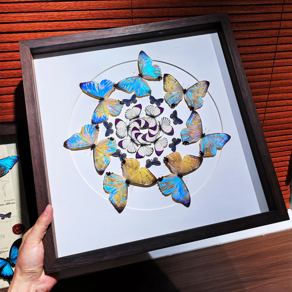 【掌上明珠】夜明珠闪蝶蝴蝶标本相框摆件紫袖珂粉蝶装饰画高端收藏